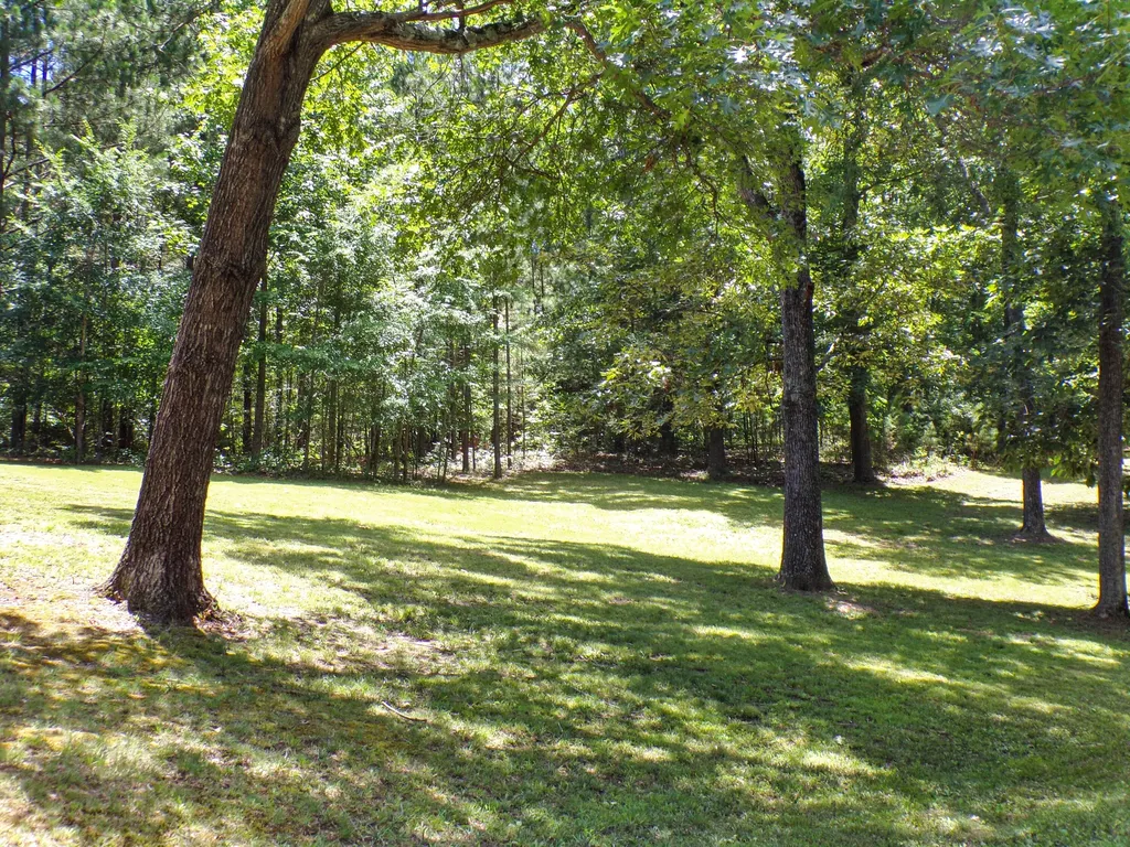 209 Jonathan Shores Road Benton KY 42025