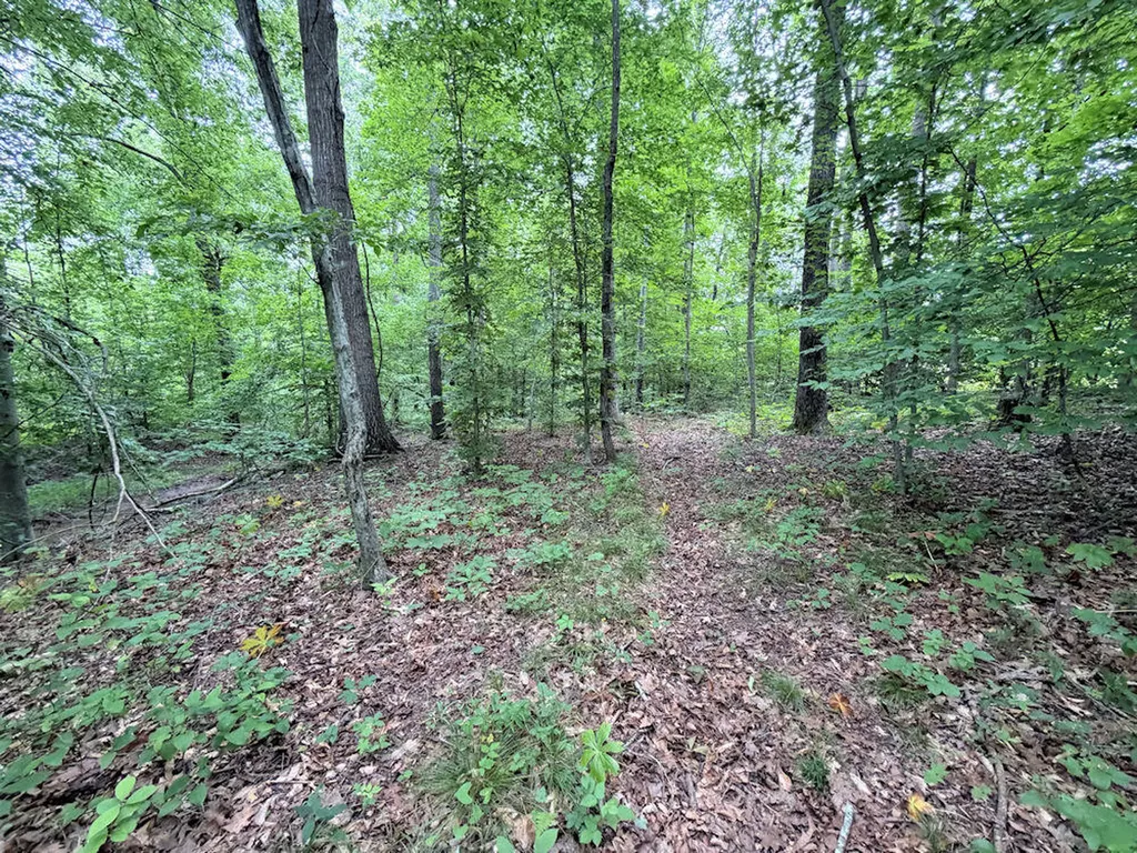 120 Troy Avenue Stanford KY 40484