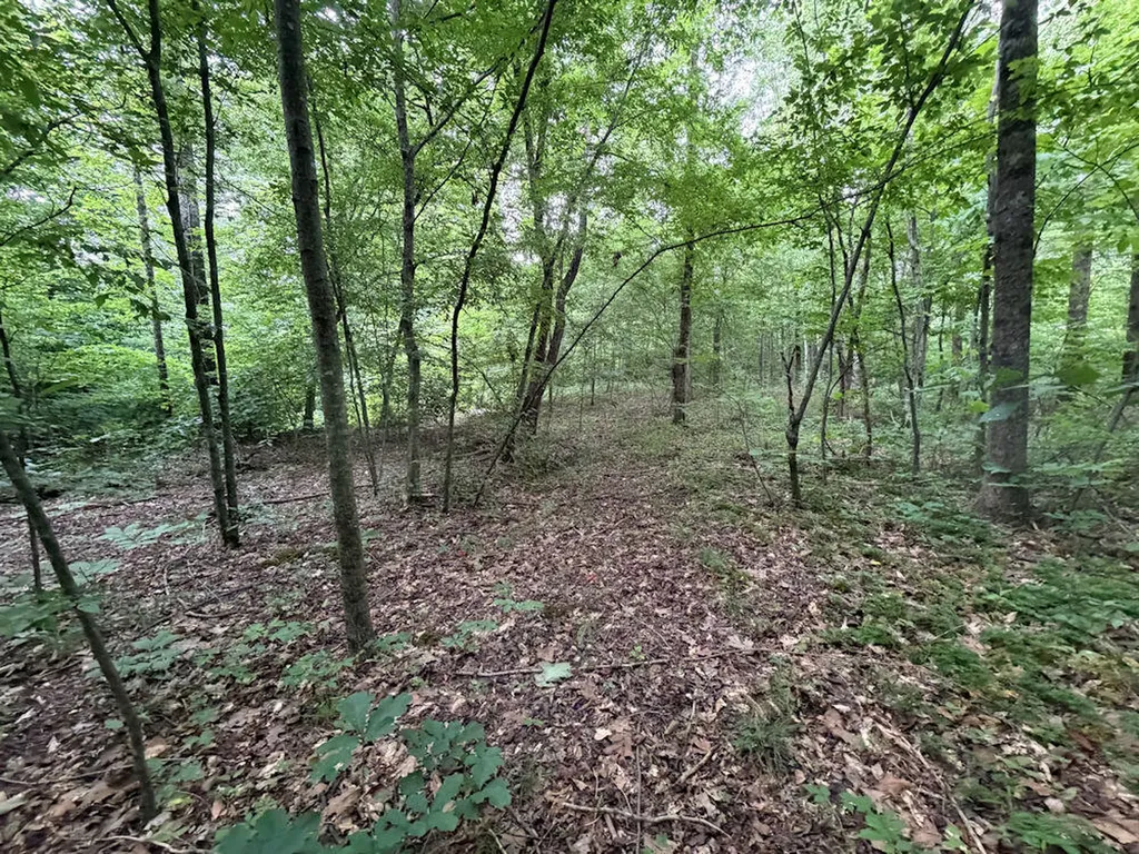 120 Troy Avenue Stanford KY 40484