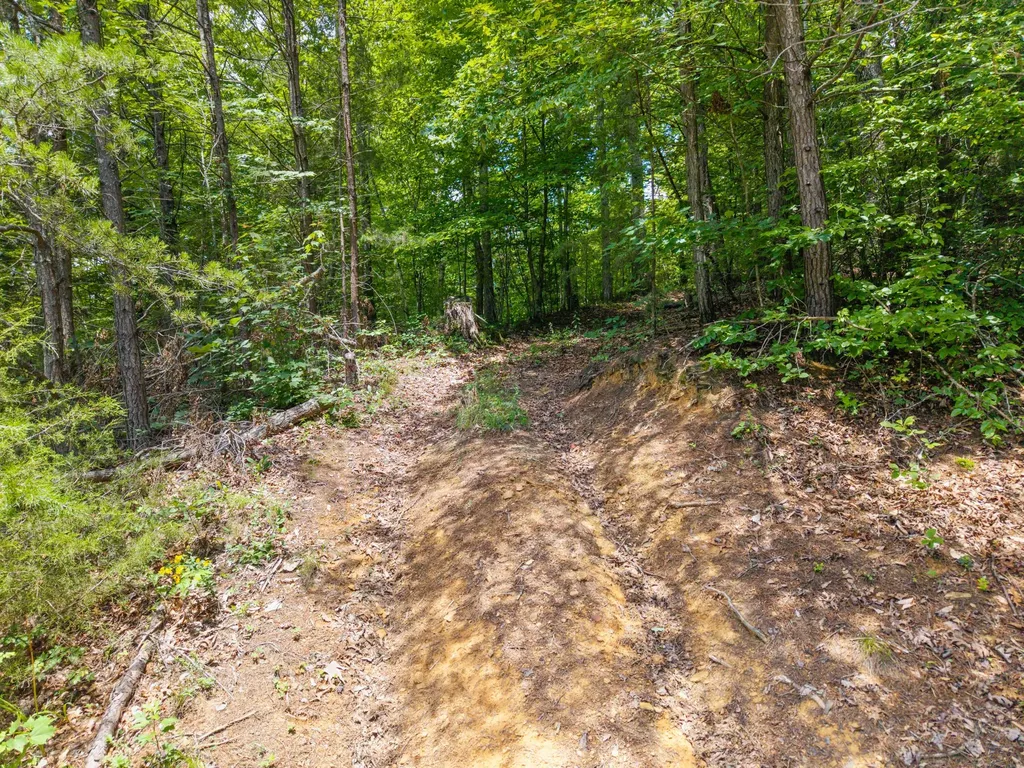 214 Price Valley Cemetery Road Somerset KY 42503