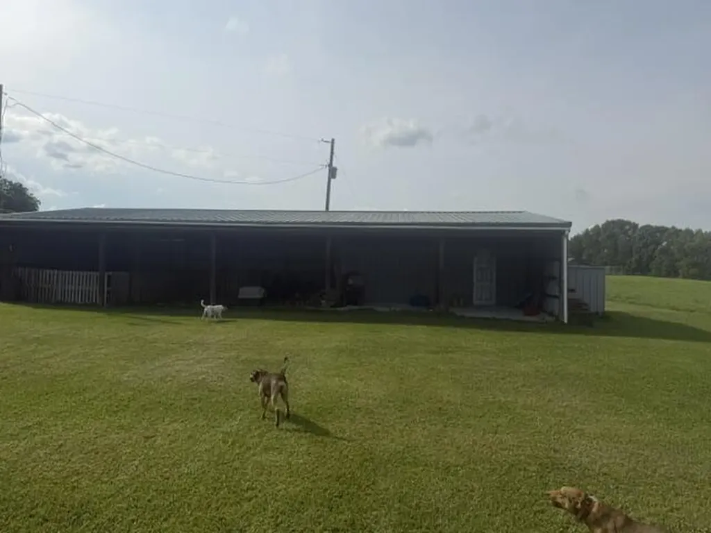 398 Jim Weaver Road Crab Orchard KY 40419