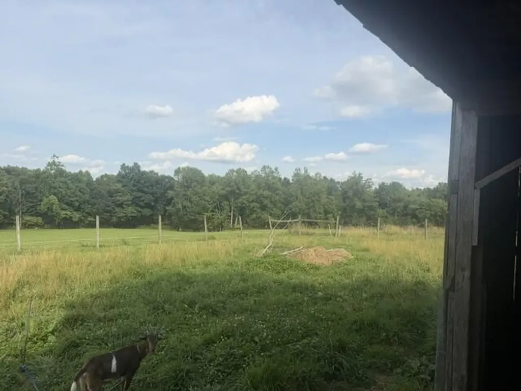 398 Jim Weaver Road Crab Orchard KY 40419