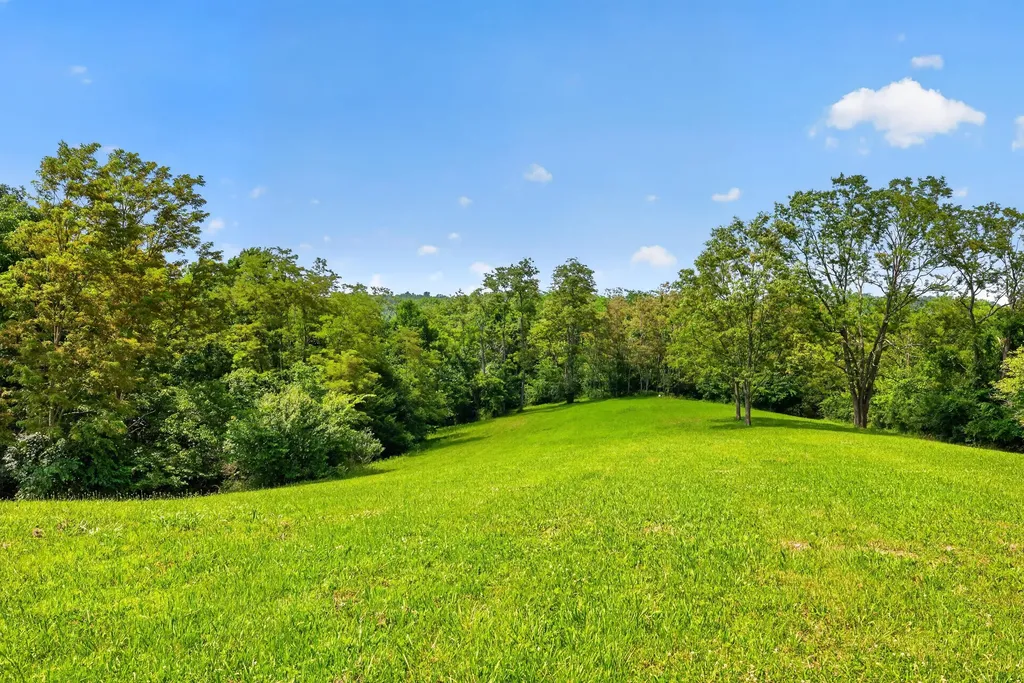 0000 Frogtown Road Sadieville KY 40370