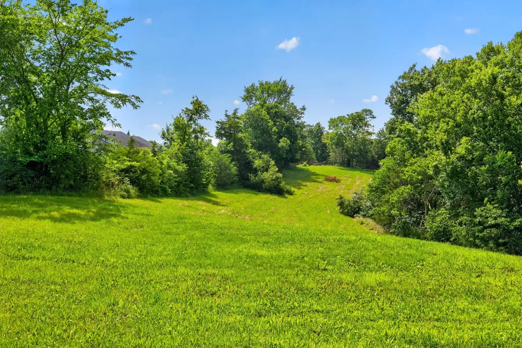0000 Frogtown Road Sadieville KY 40370