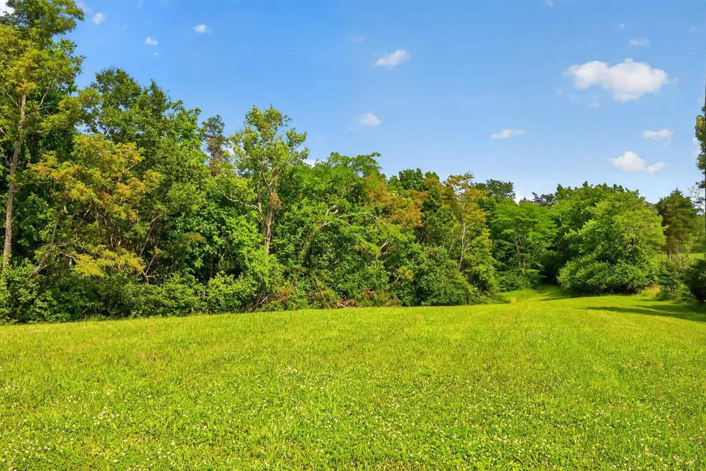 0000 Frogtown Road Sadieville KY 40370