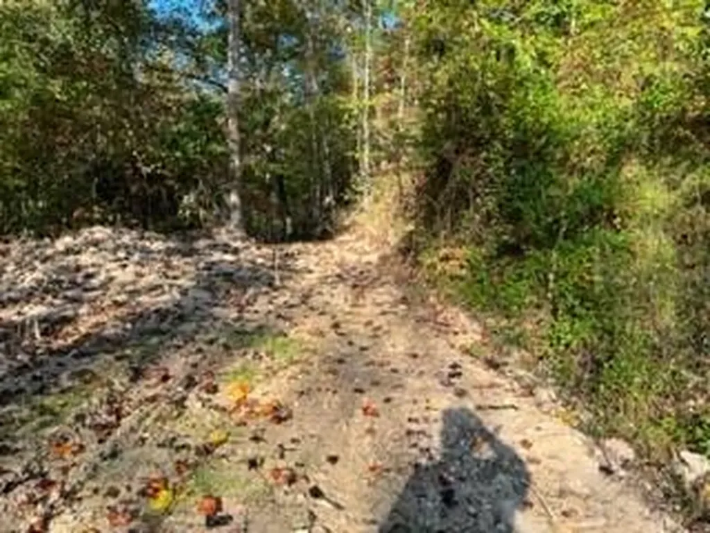 1003 Wilber Hill Road Blaine KY 41124
