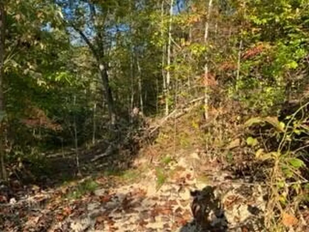 1003 Wilber Hill Road Blaine KY 41124