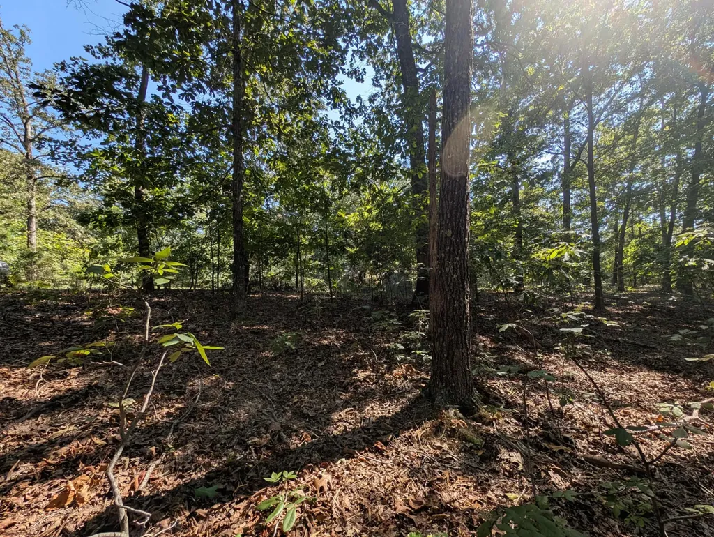 130 Lot 130 Eagle Look Ln Lane Murray KY 42071
