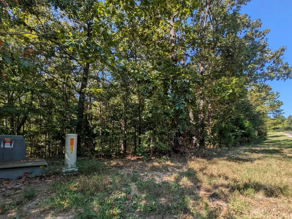 130 Lot 130 Eagle Look Ln Lane Murray KY 42071