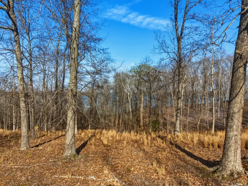 00 Red Oak Lane New Concord KY 42076