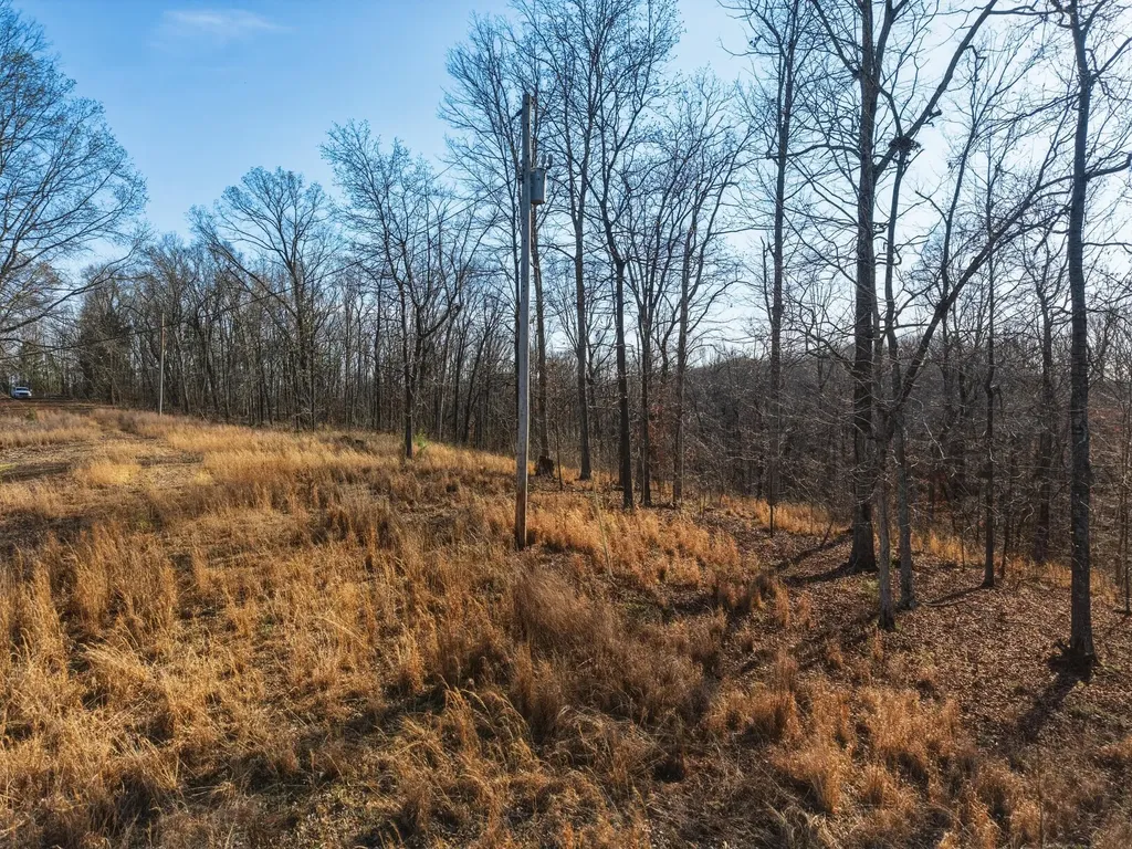 00 Red Oak Lane New Concord KY 42076