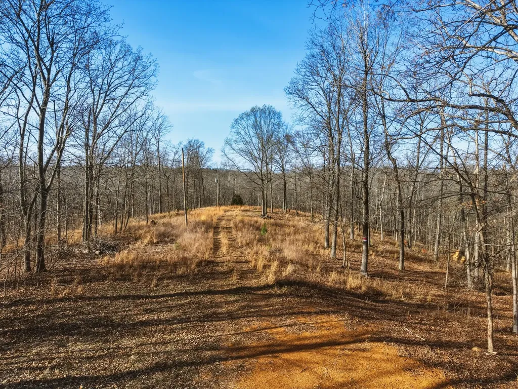 00 Red Oak Lane New Concord KY 42076