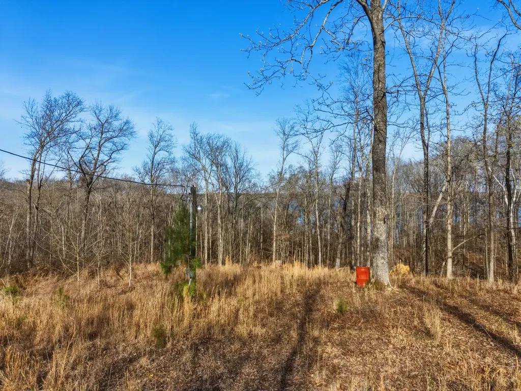00 Red Oak Lane New Concord KY 42076