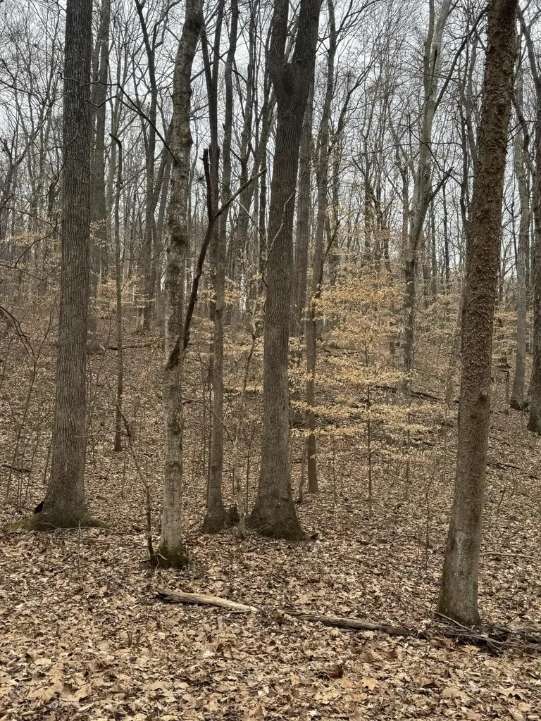 Lot 87 Periwinkle Hill Road Cadiz KY 42211