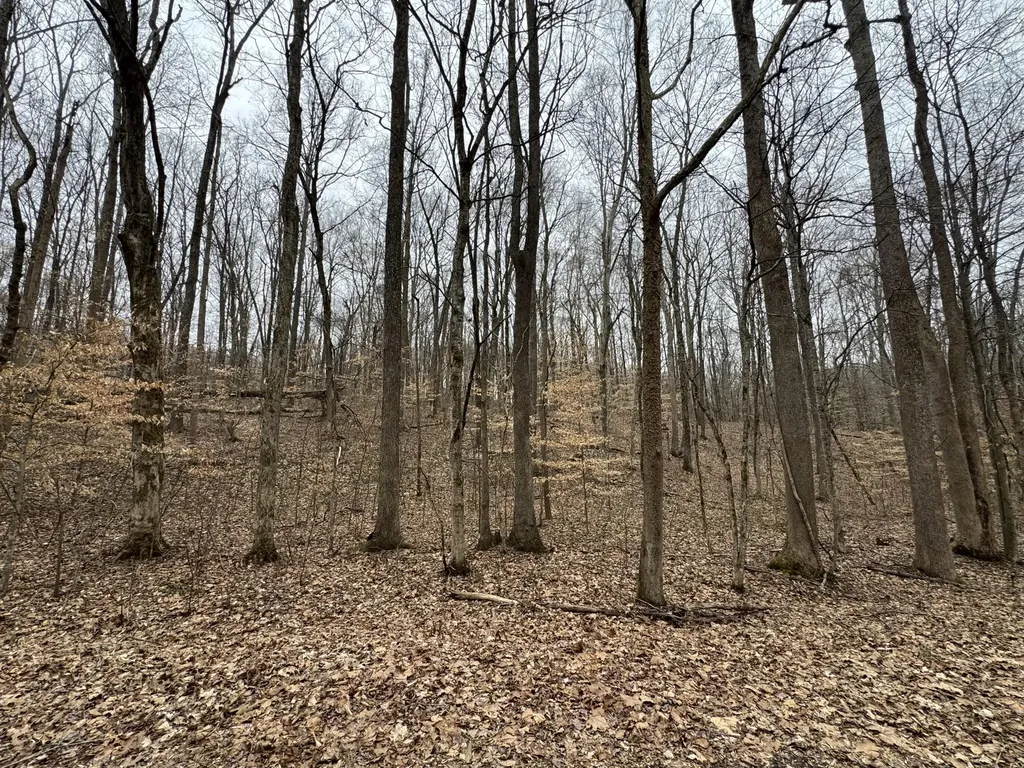 Lot 87 Periwinkle Hill Road Cadiz KY 42211