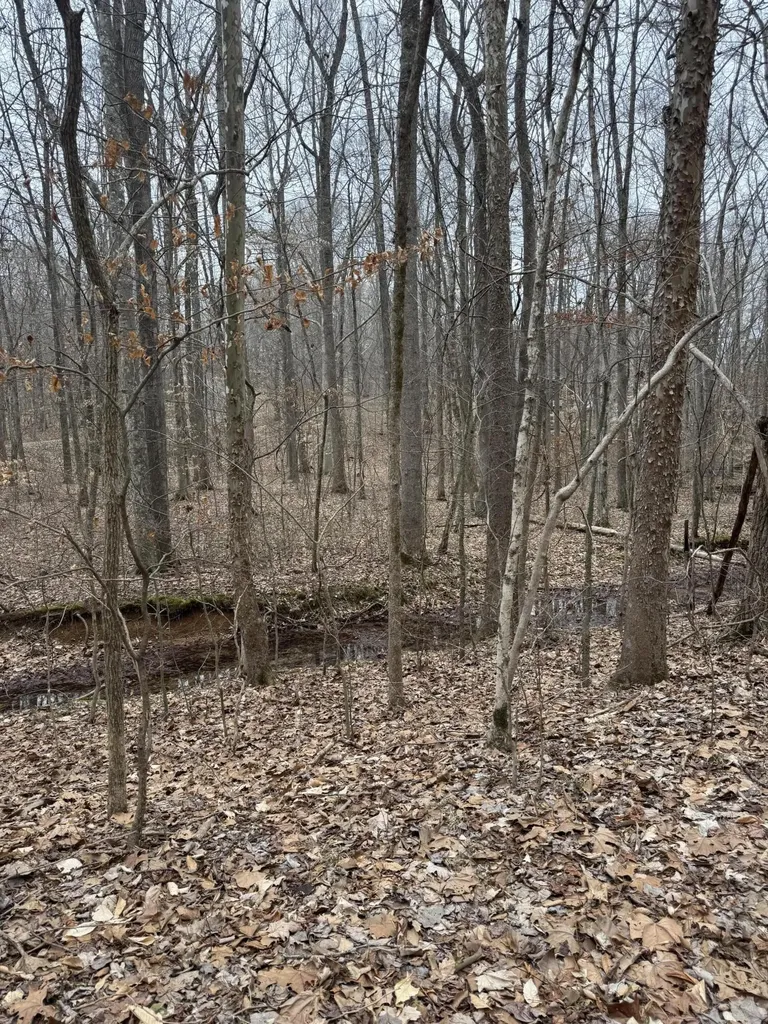 Lot 87 Periwinkle Hill Road Cadiz KY 42211