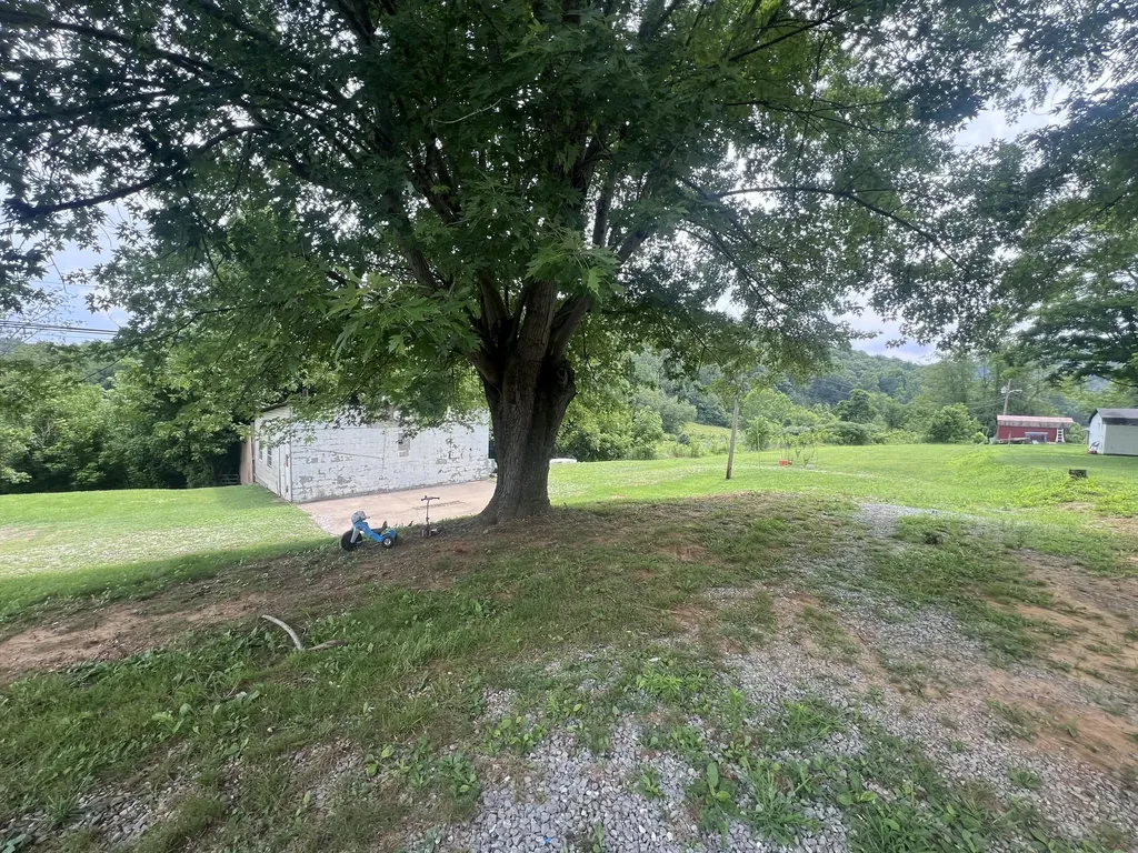 4656 Kentucky 1304 Hinkle KY 40953