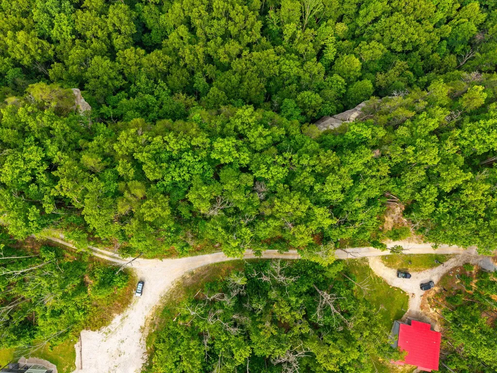 894 Heavenly Lane Frenchburg KY 40322