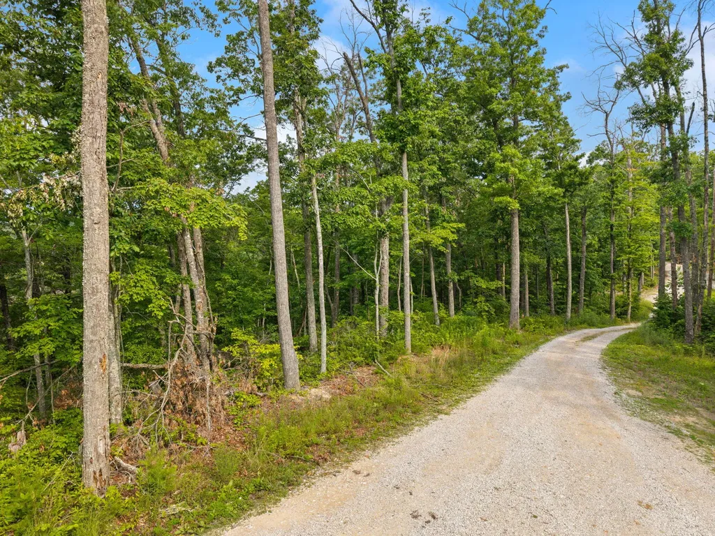 894 Heavenly Lane Frenchburg KY 40322