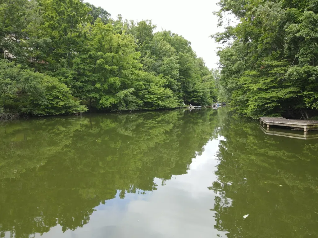 110 Shoveler Court Georgetown KY 40324