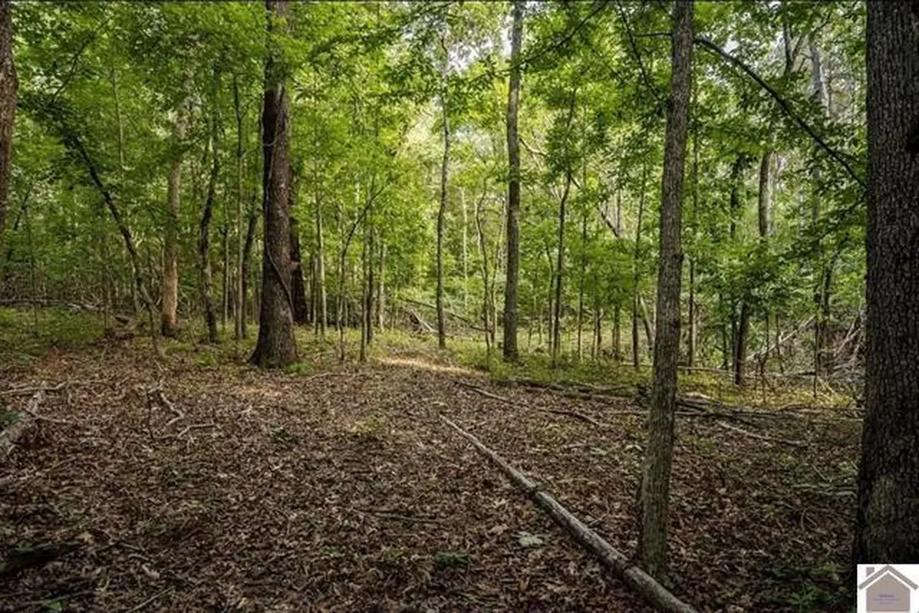 6974 Aurora Highway Benton KY 42025