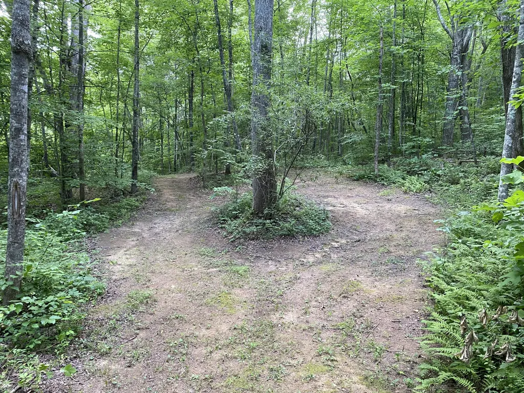 75 Walnut Road Lily KY 40740