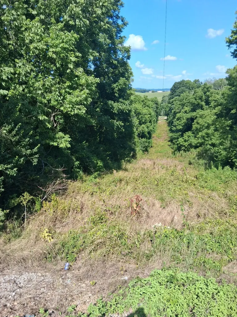 2707 Short Pike Hustonville KY 40437