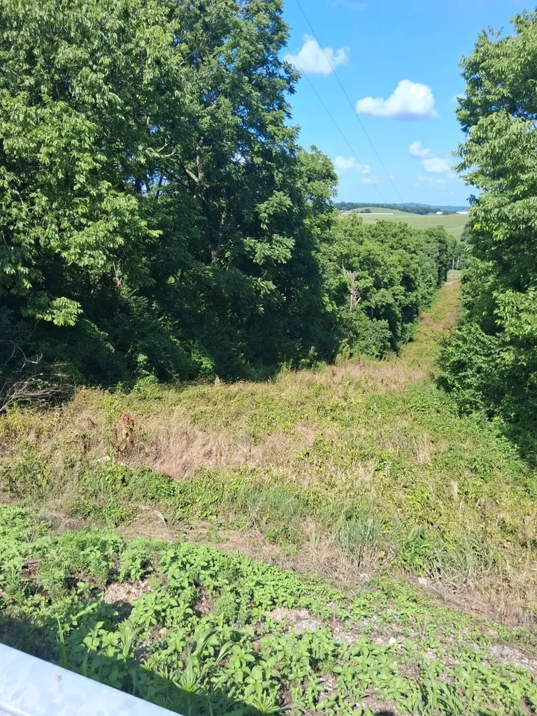 2707 Short Pike Hustonville KY 40437