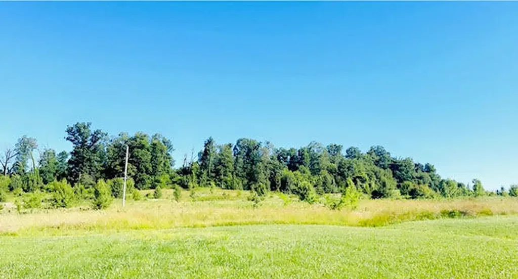 9860 Cerulean-sinking Fork Road Cerulean KY 42215