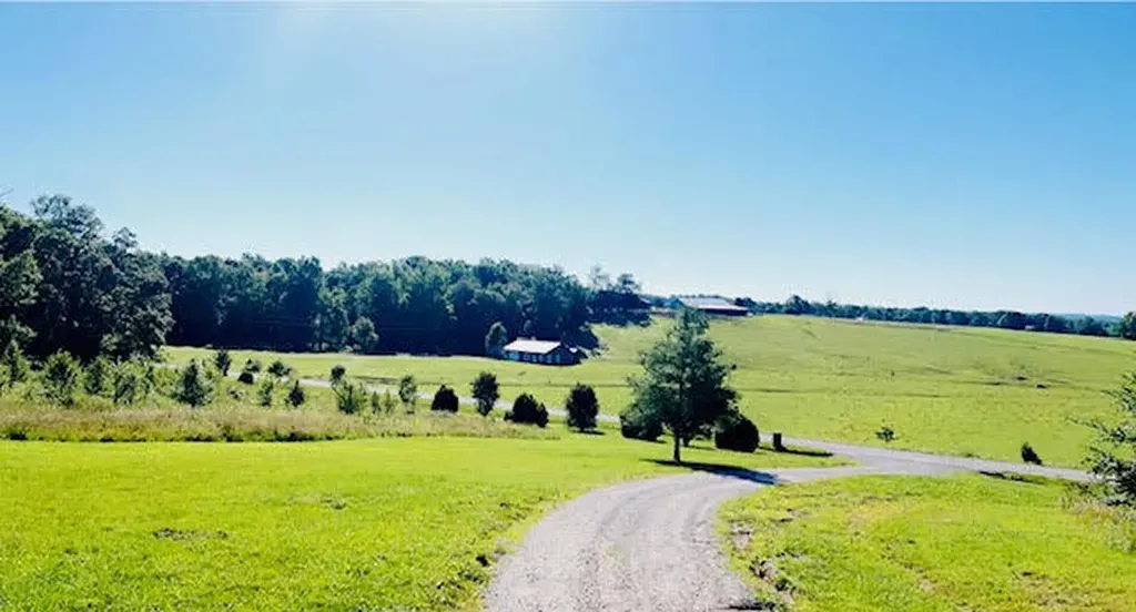 9860 Cerulean-sinking Fork Road Cerulean KY 42215