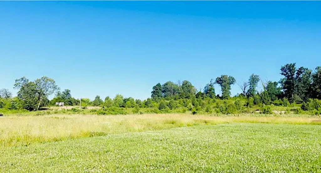 9860 Cerulean-sinking Fork Road Cerulean KY 42215