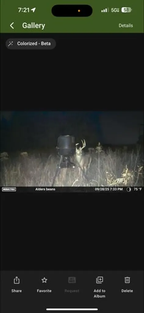 9860 Cerulean-sinking Fork Road Cerulean KY 42215