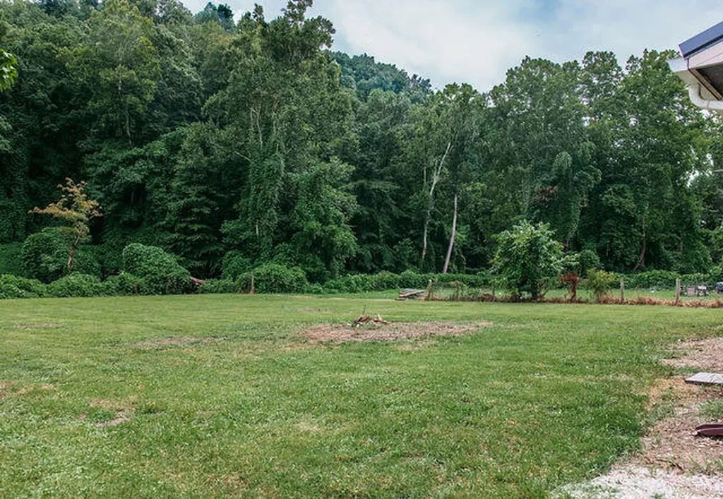 6053 W U.s. 460 Highway Means KY 40346