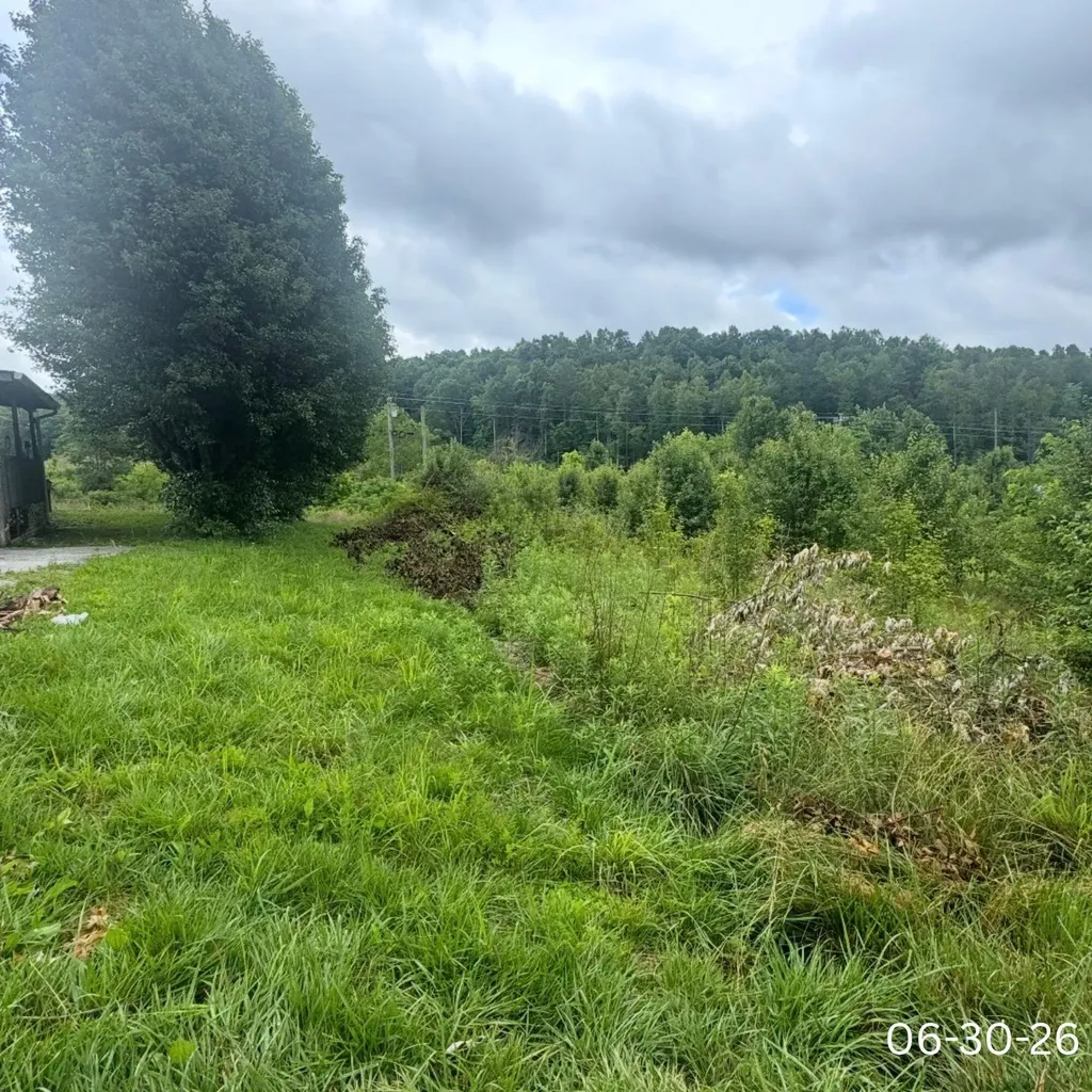 270 Jackson Drive Tyner KY 40486