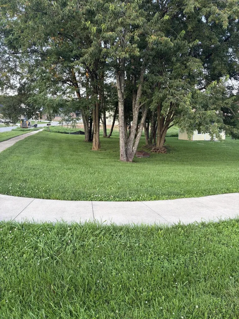 104 Elk Drive Stamping Ground KY 40379