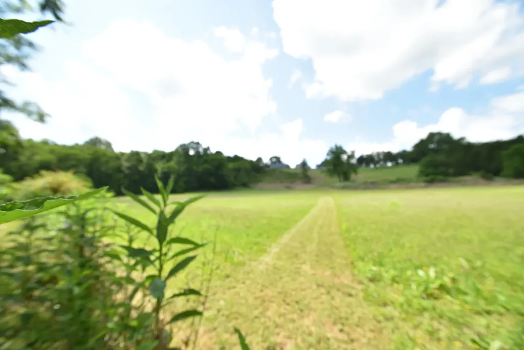 691 Fairview Road Salvisa KY 40372