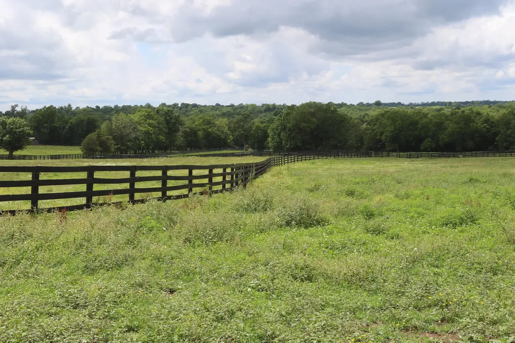 1070 Kidds Mill Road Versailles KY 40383