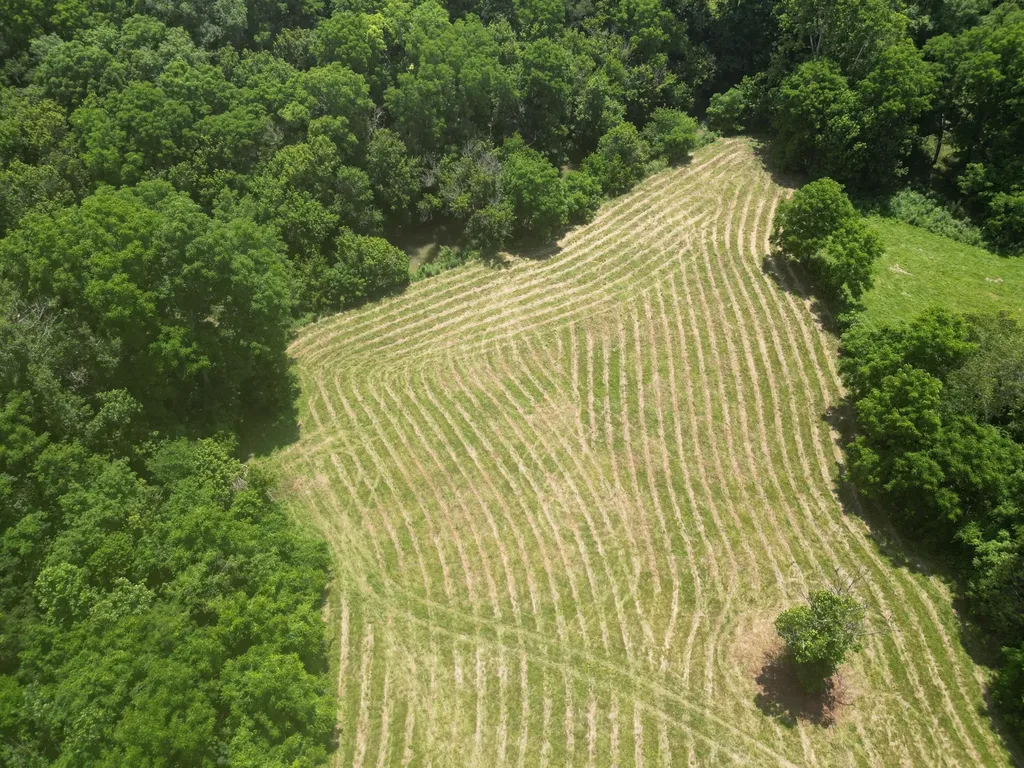 2790 Van Thompson Road Mt Sterling KY 40353