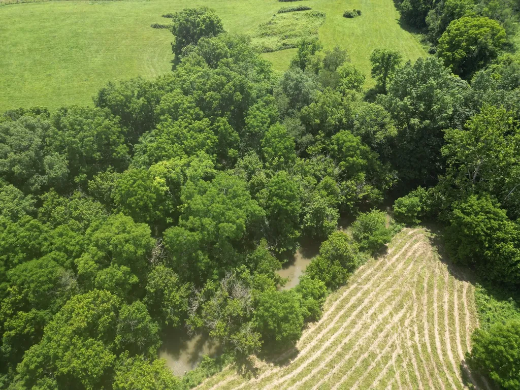 2790 Van Thompson Road Mt Sterling KY 40353