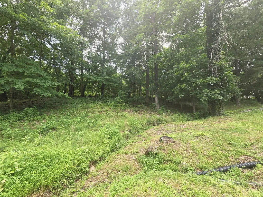159 Daffodil Drive Cadiz KY 42211