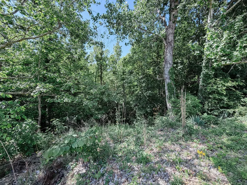 430 U.s. 62 Eddyville KY 42038