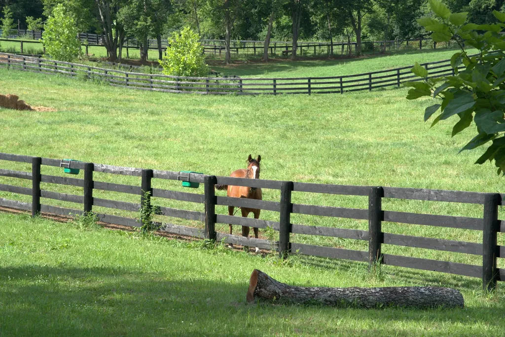 401 Cane Ridge Road Paris KY 40361