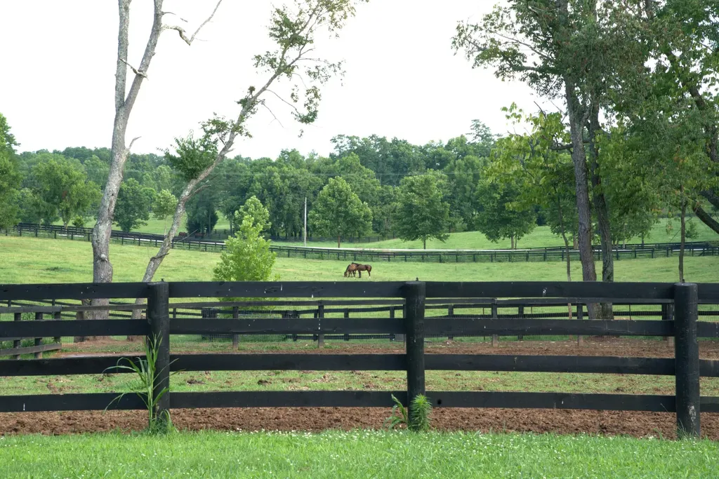 401 Cane Ridge Road Paris KY 40361