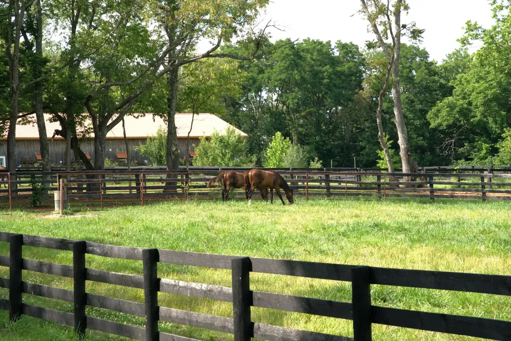 401 Cane Ridge Road Paris KY 40361