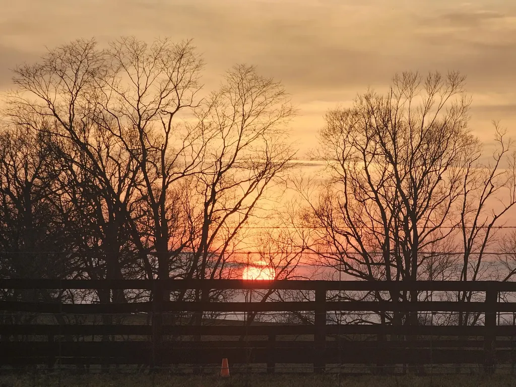 401 Cane Ridge Road Paris KY 40361