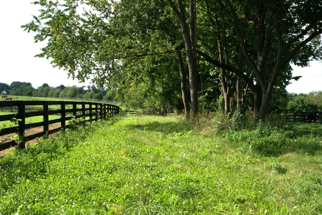 401 Cane Ridge Road Paris KY 40361