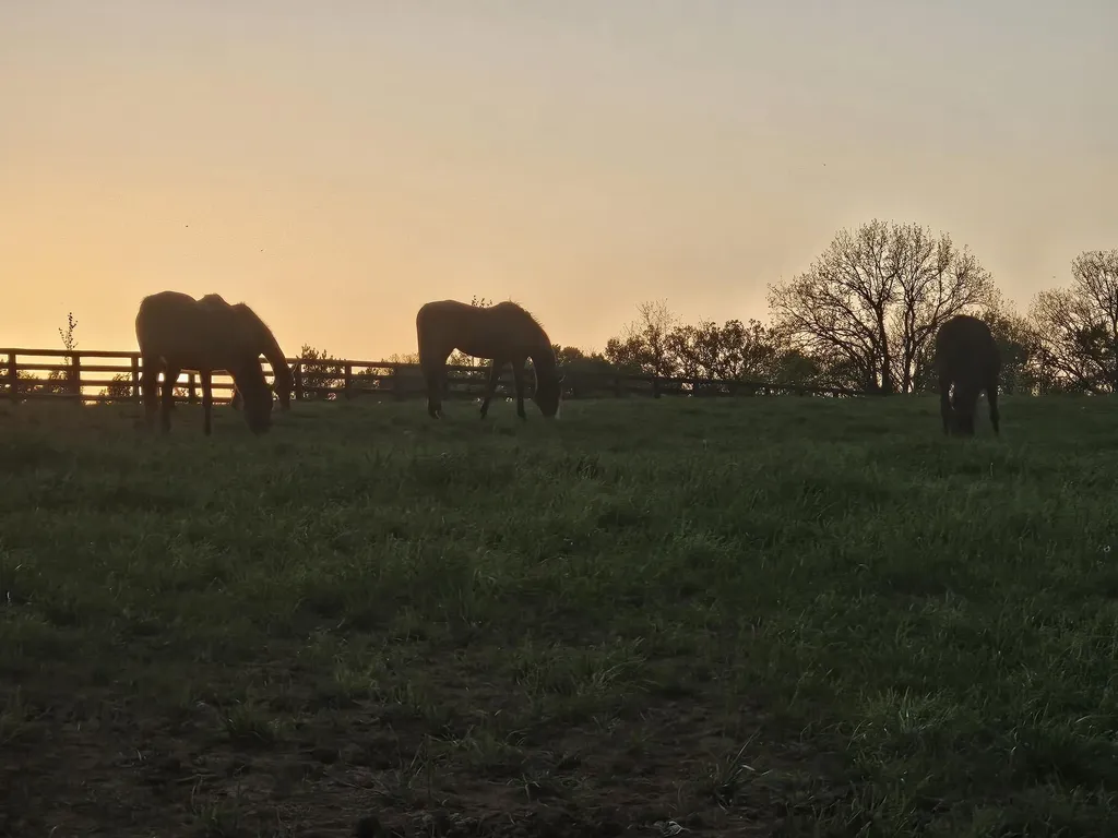 401 Cane Ridge Road Paris KY 40361