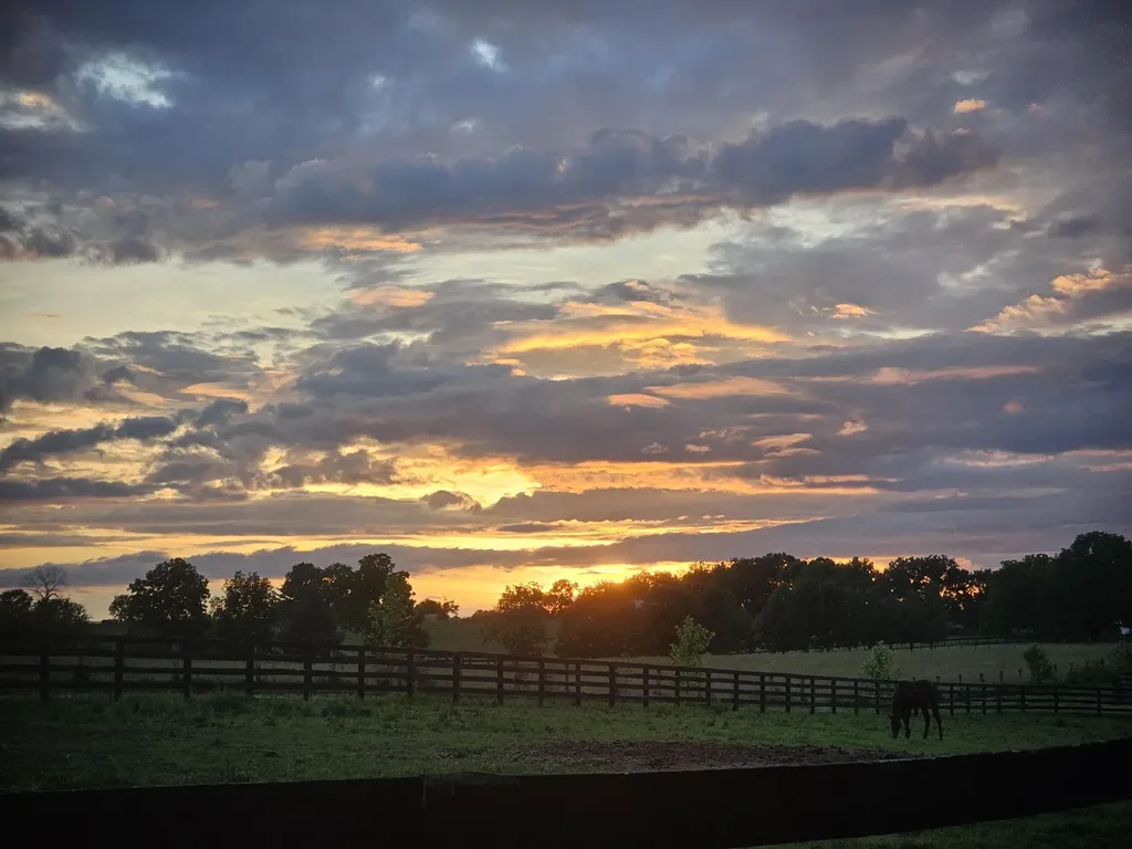 401 Cane Ridge Road Paris KY 40361