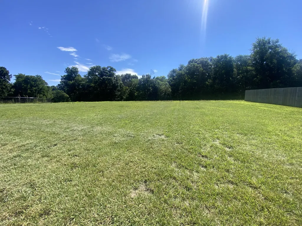 438 John Purdom Drive Almo KY 42020