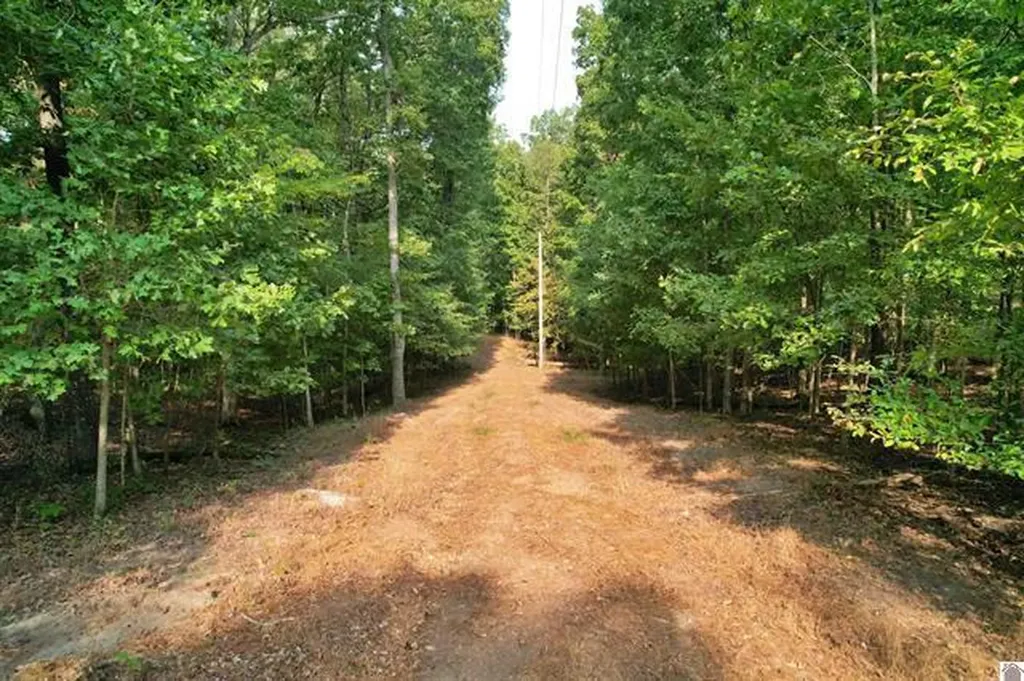 1137 Steamboat Road Gilbertsville KY 42044